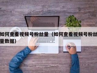 如何查看视频号粉丝量（如何查看视频号粉丝量数据）