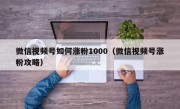 微信视频号如何涨粉1000（微信视频号涨粉攻略）