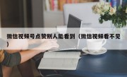 微信视频号点赞别人能看到（微信视频看不见）