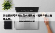 微信视频号有粉丝怎么赚钱的（视频号粉丝有什么用）