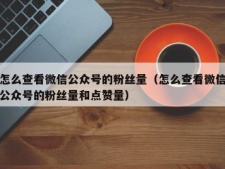 怎么查看微信公众号的粉丝量（怎么查看微信公众号的粉丝量和点赞量）