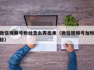 微信视频号粉丝怎么弄出来（微信视频号加粉丝）