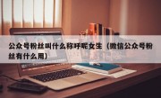 公众号粉丝叫什么称呼呢女生（微信公众号粉丝有什么用）