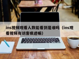 ins视频观看人数能看到是谁吗（ins观看视频有访客痕迹嘛）