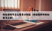 微信视频号怎么看多少粉丝（微信视频号粉丝量怎么看）