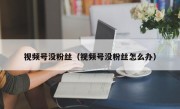 视频号没粉丝（视频号没粉丝怎么办）