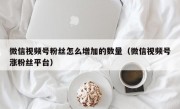 微信视频号粉丝怎么增加的数量（微信视频号涨粉丝平台）