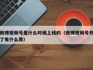 微博视频号是什么时候上线的（微博视频号开了有什么用）