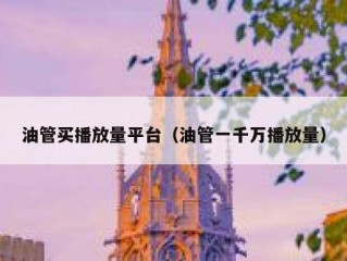 油管买播放量平台（油管一千万播放量）