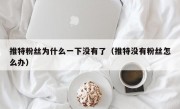 推特粉丝为什么一下没有了（推特没有粉丝怎么办）
