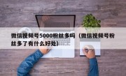 微信视频号5000粉丝多吗（微信视频号粉丝多了有什么好处）