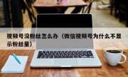 视频号没粉丝怎么办（微信视频号为什么不显示粉丝量）