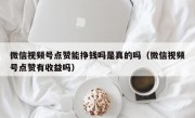 微信视频号点赞能挣钱吗是真的吗（微信视频号点赞有收益吗）