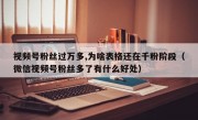 视频号粉丝过万多,为啥表格还在千粉阶段（微信视频号粉丝多了有什么好处）
