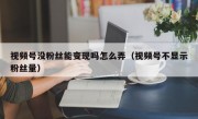 视频号没粉丝能变现吗怎么弄（视频号不显示粉丝量）