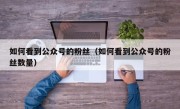 如何看到公众号的粉丝（如何看到公众号的粉丝数量）