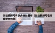 微信视频号有多少粉丝看哪（微信视频号在哪看粉丝数量）