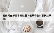 视频号在哪里看粉丝量（视频号怎么看粉丝数据）