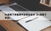 ks自助下单服务平台微信支付（ks自助下单业）