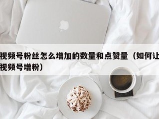 视频号粉丝怎么增加的数量和点赞量（如何让视频号增粉）