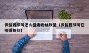 微信视频号怎么查看粉丝数量（微信视频号在哪看粉丝）