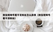 微信视频号看不见粉丝怎么回事（微信视频号看不到粉丝）