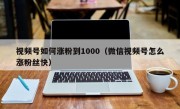 视频号如何涨粉到1000（微信视频号怎么涨粉丝快）