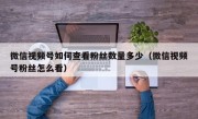 微信视频号如何查看粉丝数量多少（微信视频号粉丝怎么看）
