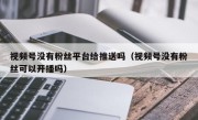 视频号没有粉丝平台给推送吗（视频号没有粉丝可以开播吗）