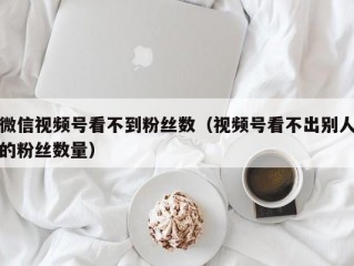 微信视频号看不到粉丝数（视频号看不出别人的粉丝数量）