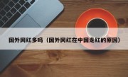 国外网红多吗（国外网红在中国走红的原因）
