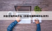 抖音在国外叫什么（抖音在国外叫什么软件）