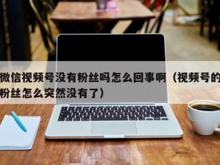 微信视频号没有粉丝吗怎么回事啊（视频号的粉丝怎么突然没有了）