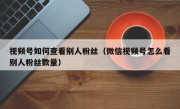 视频号如何查看别人粉丝（微信视频号怎么看别人粉丝数量）