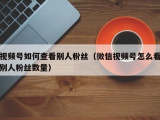 视频号如何查看别人粉丝（微信视频号怎么看别人粉丝数量）