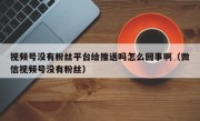 视频号没有粉丝平台给推送吗怎么回事啊（微信视频号没有粉丝）