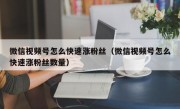 微信视频号怎么快速涨粉丝（微信视频号怎么快速涨粉丝数量）