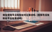 微信视频号没有粉丝可以带货吗（视频号没有粉丝平台给推送吗）