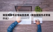 微信视频号点赞啥意思啊（微信视频号点赞是什么）