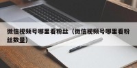微信视频号哪里看粉丝（微信视频号哪里看粉丝数量）