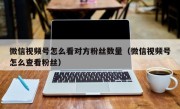 微信视频号怎么看对方粉丝数量（微信视频号怎么查看粉丝）