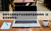视频号没有粉丝平台给推送吗是真的吗吗（还是没有视频号）