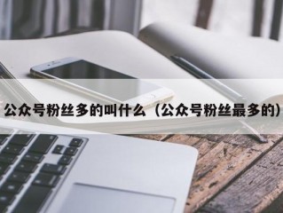 公众号粉丝多的叫什么（公众号粉丝最多的）