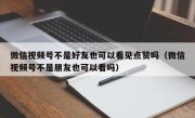 微信视频号不是好友也可以看见点赞吗（微信视频号不是朋友也可以看吗）