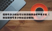 视频号多少粉丝可以带货赚佣金呢苹果手机（微信视频号多少粉丝适合赚钱）