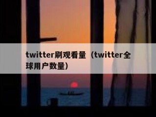 twitter刷观看量（twitter全球用户数量）