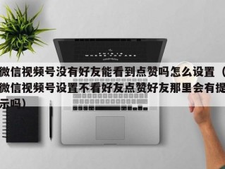 微信视频号没有好友能看到点赞吗怎么设置（微信视频号设置不看好友点赞好友那里会有提示吗）