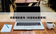 抖音涨粉查询（抖音粉丝量查询）