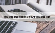 视频号哪里看粉丝数（怎么查视频号粉丝数）