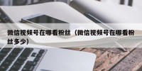 微信视频号在哪看粉丝（微信视频号在哪看粉丝多少）